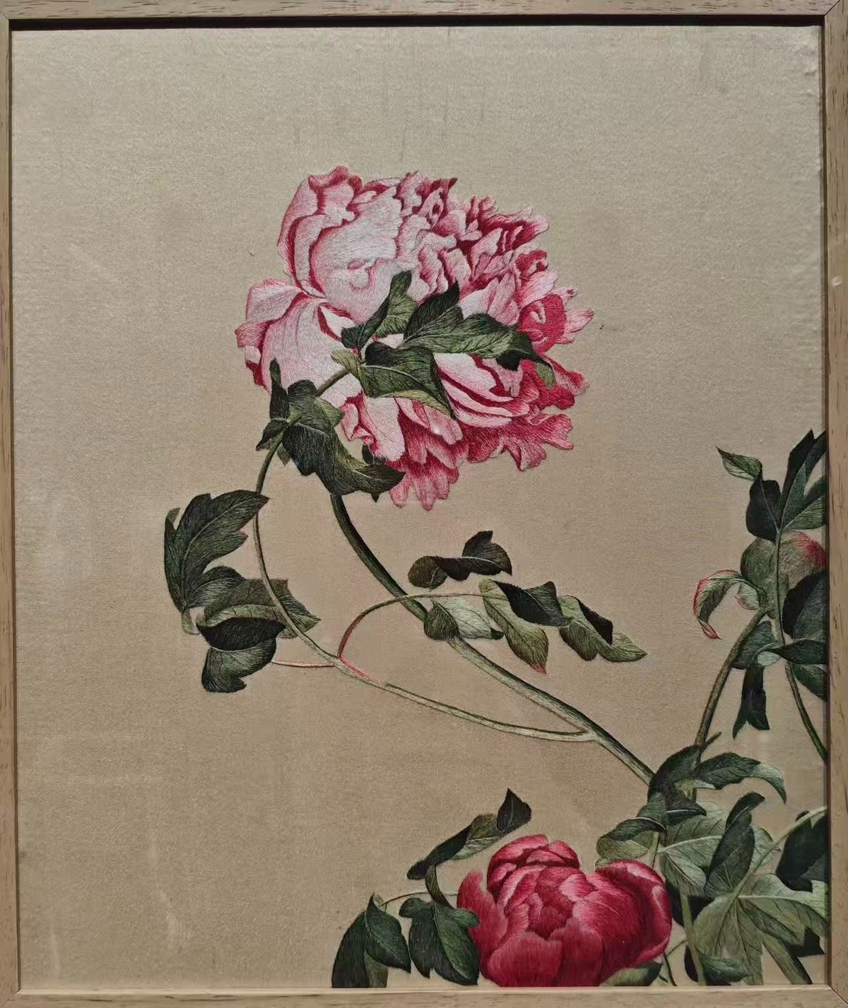 郎世宁牡丹