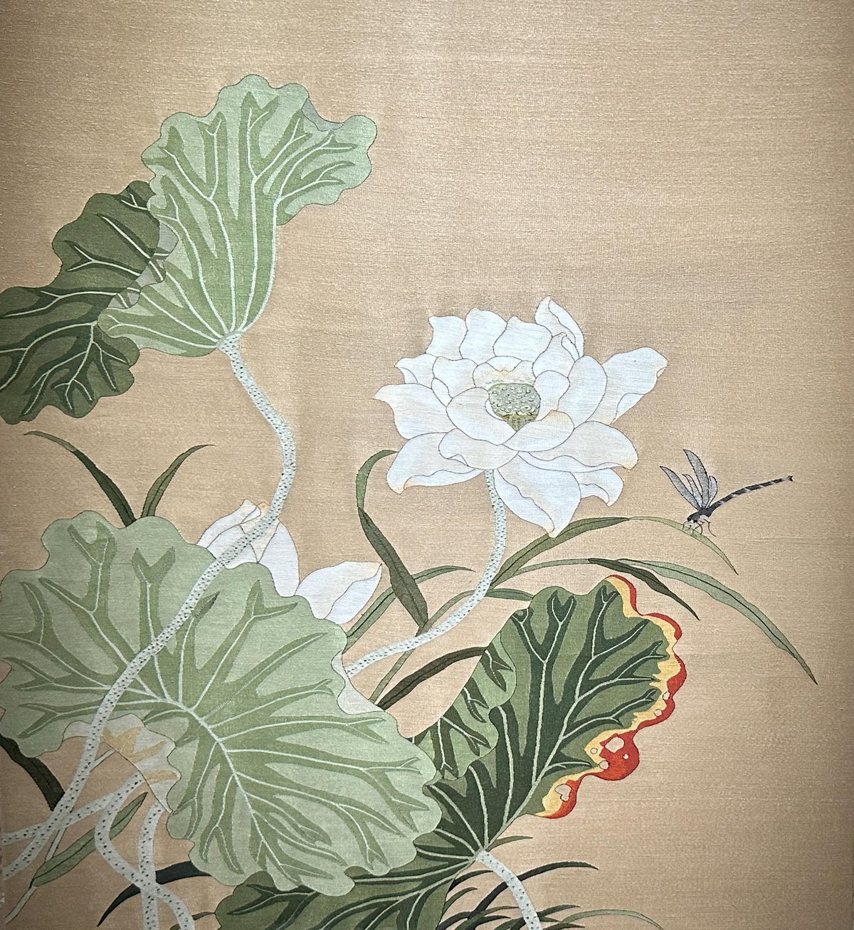 翠雨秋荷